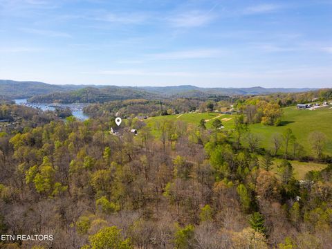 Tiny photo for 249 Molly Hollow Rd, New Tazewell, TN 37825 (MLS # 1336644)