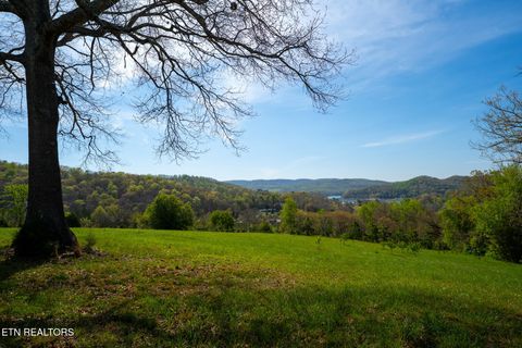 Tiny photo for 249 Molly Hollow Rd, New Tazewell, TN 37825 (MLS # 1336644)