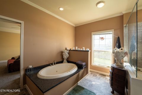 Tiny photo for 249 Molly Hollow Rd, New Tazewell, TN 37825 (MLS # 1336644)