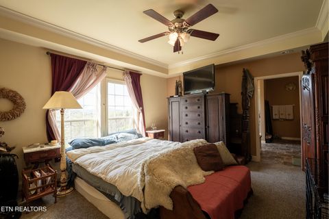 Tiny photo for 249 Molly Hollow Rd, New Tazewell, TN 37825 (MLS # 1336644)