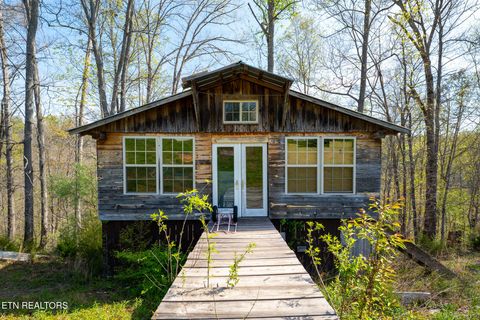 Tiny photo for 249 Molly Hollow Rd, New Tazewell, TN 37825 (MLS # 1336644)