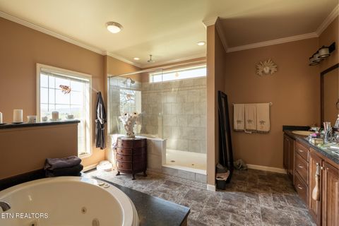 Tiny photo for 249 Molly Hollow Rd, New Tazewell, TN 37825 (MLS # 1336644)