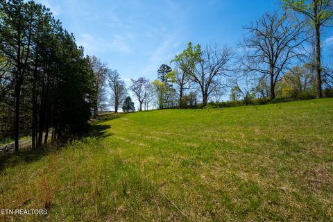 Tiny photo for 249 Molly Hollow Rd, New Tazewell, TN 37825 (MLS # 1336644)
