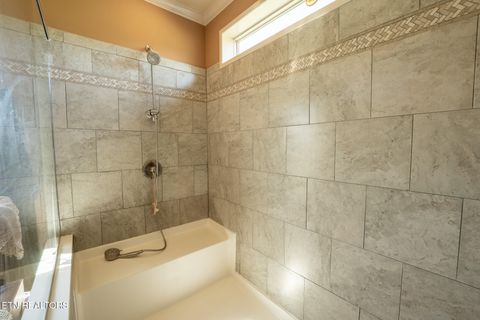 Tiny photo for 249 Molly Hollow Rd, New Tazewell, TN 37825 (MLS # 1336644)