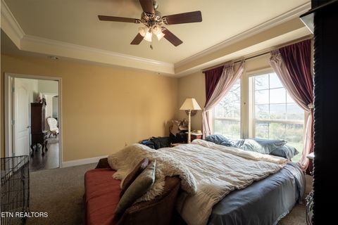 Tiny photo for 249 Molly Hollow Rd, New Tazewell, TN 37825 (MLS # 1336644)