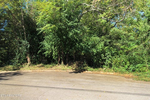 Tiny photo for 3111 Sycamore View Court, Knoxville, TN 37921 (MLS # 1359729)