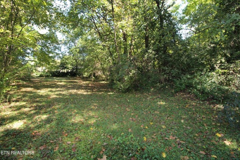 Tiny photo for 3111 Sycamore View Court, Knoxville, TN 37921 (MLS # 1359729)