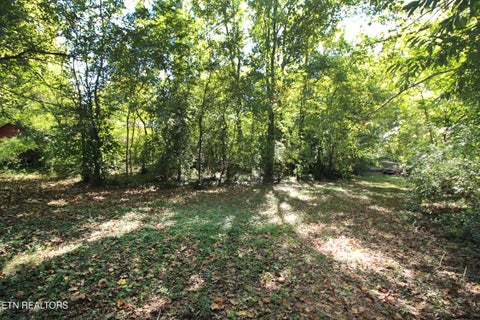 Tiny photo for 3111 Sycamore View Court, Knoxville, TN 37921 (MLS # 1359729)