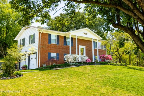 Photo of 2329 Airbase Rd, Louisville, TN 37777 (MLS # 1347653)