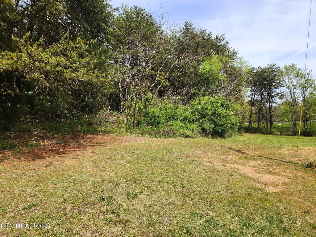 Photo of 942 Honeysuckle Rd, Maryville, TN 37801 (MLS # 1339827)