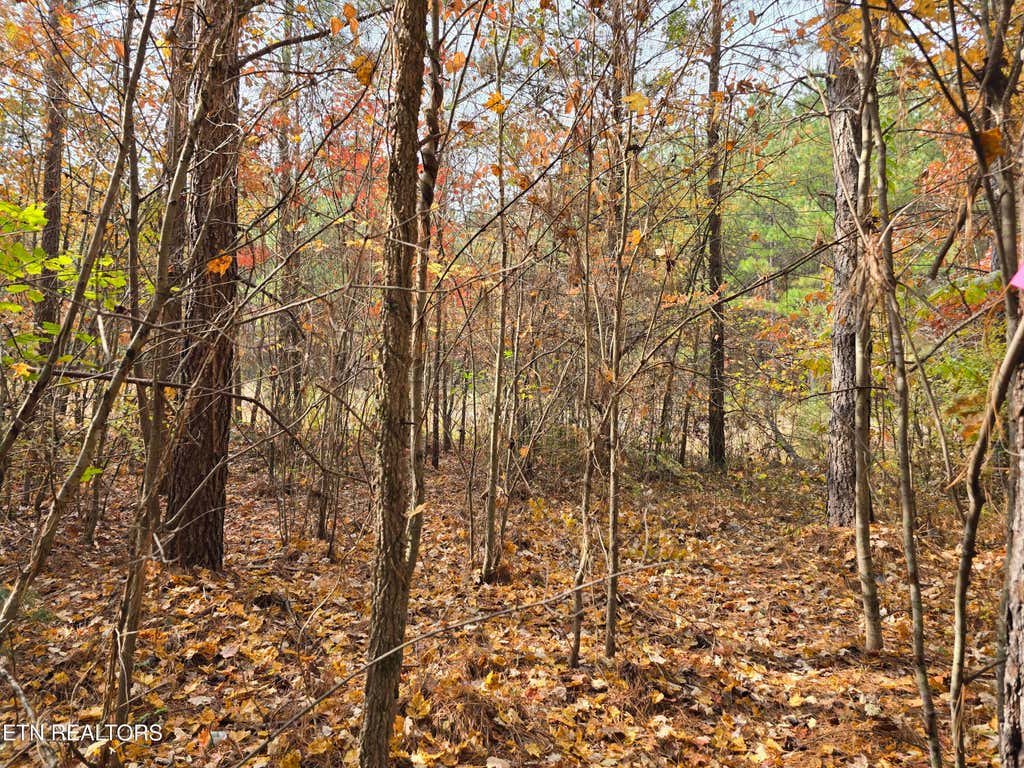 Photo of 2 W Robbins Rd, Robbins, TN 37852 (MLS # 1282221)