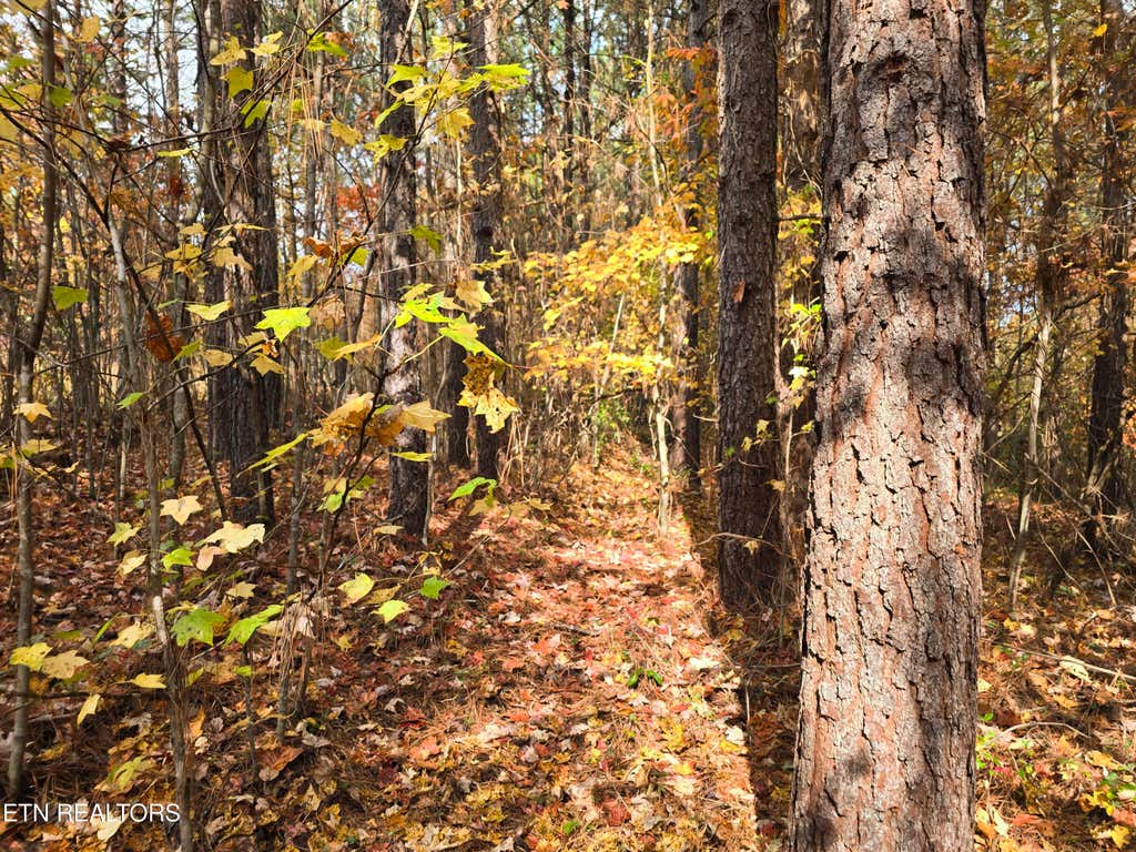 Photo of 2 W Robbins Rd, Robbins, TN 37852 (MLS # 1282221)