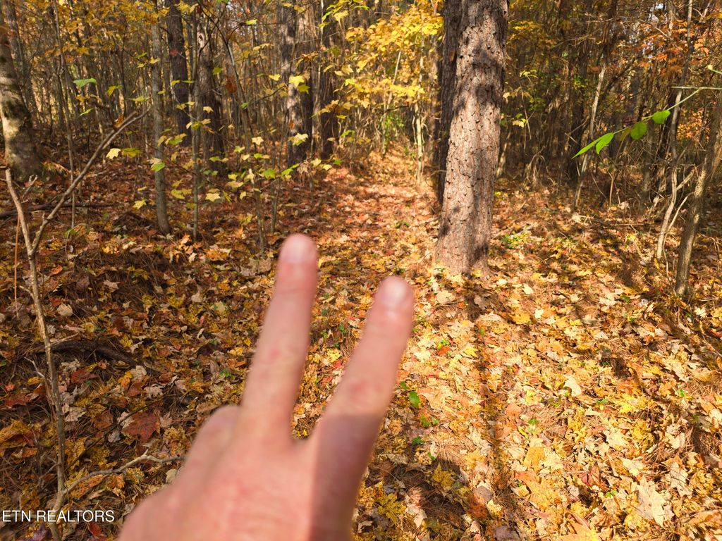 Photo of 2 W Robbins Rd, Robbins, TN 37852 (MLS # 1282221)