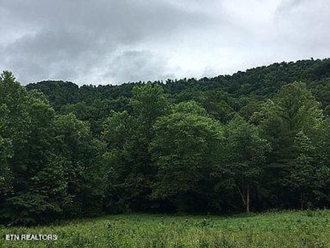 Stanley Creek Rd Oneida TN 37841