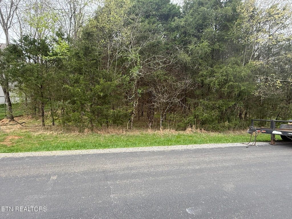 Photo of Sikwa, Vonore, TN 37885 (MLS # 1334715)