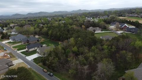 Tiny photo for Sikwa, Vonore, TN 37885 (MLS # 1334715)