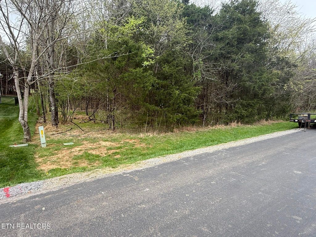 Photo of Sikwa, Vonore, TN 37885 (MLS # 1334715)