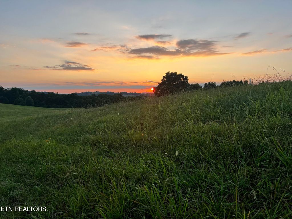 Photo of 146 Tanzanite Tr, New Tazewell, TN 37825 (MLS # 1269578)