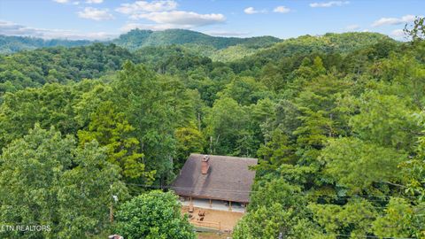 Tiny photo for 123 Cutter Gap Rd, Townsend, TN 37882 (MLS # 1332901)