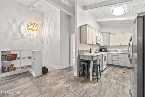 Tiny photo for 123 Cutter Gap Rd, Townsend, TN 37882 (MLS # 1332901)