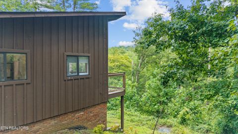 Tiny photo for 123 Cutter Gap Rd, Townsend, TN 37882 (MLS # 1332901)