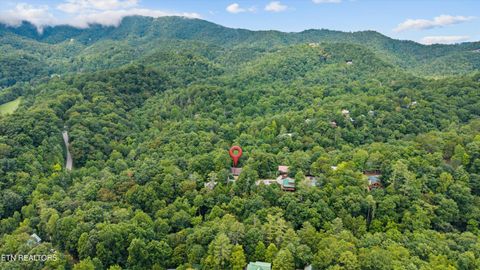 Tiny photo for 123 Cutter Gap Rd, Townsend, TN 37882 (MLS # 1332901)