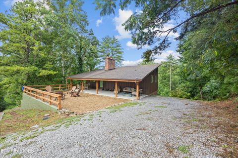 Tiny photo for 123 Cutter Gap Rd, Townsend, TN 37882 (MLS # 1332901)