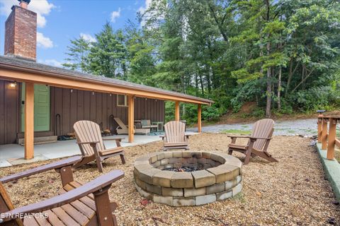 Tiny photo for 123 Cutter Gap Rd, Townsend, TN 37882 (MLS # 1332901)