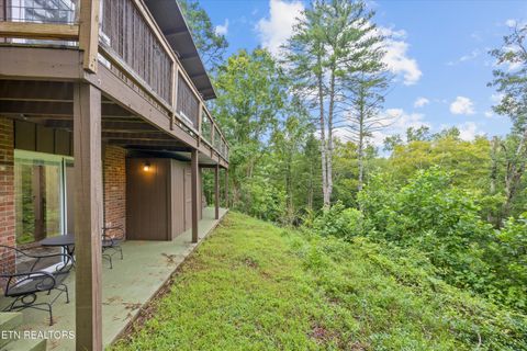 Tiny photo for 123 Cutter Gap Rd, Townsend, TN 37882 (MLS # 1332901)