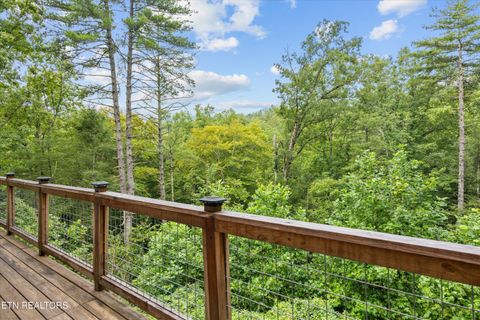 Tiny photo for 123 Cutter Gap Rd, Townsend, TN 37882 (MLS # 1332901)