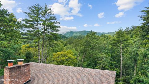 Tiny photo for 123 Cutter Gap Rd, Townsend, TN 37882 (MLS # 1332901)