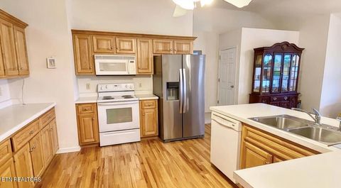 Tiny photo for 223 Roxbury Court, Jefferson City, TN 37760 (MLS # 1323530)