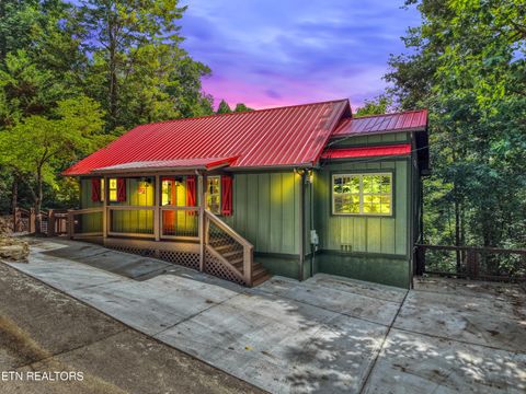 Photo of 236 Tolliver Tr, Townsend, TN 37882 (MLS # 1342955)