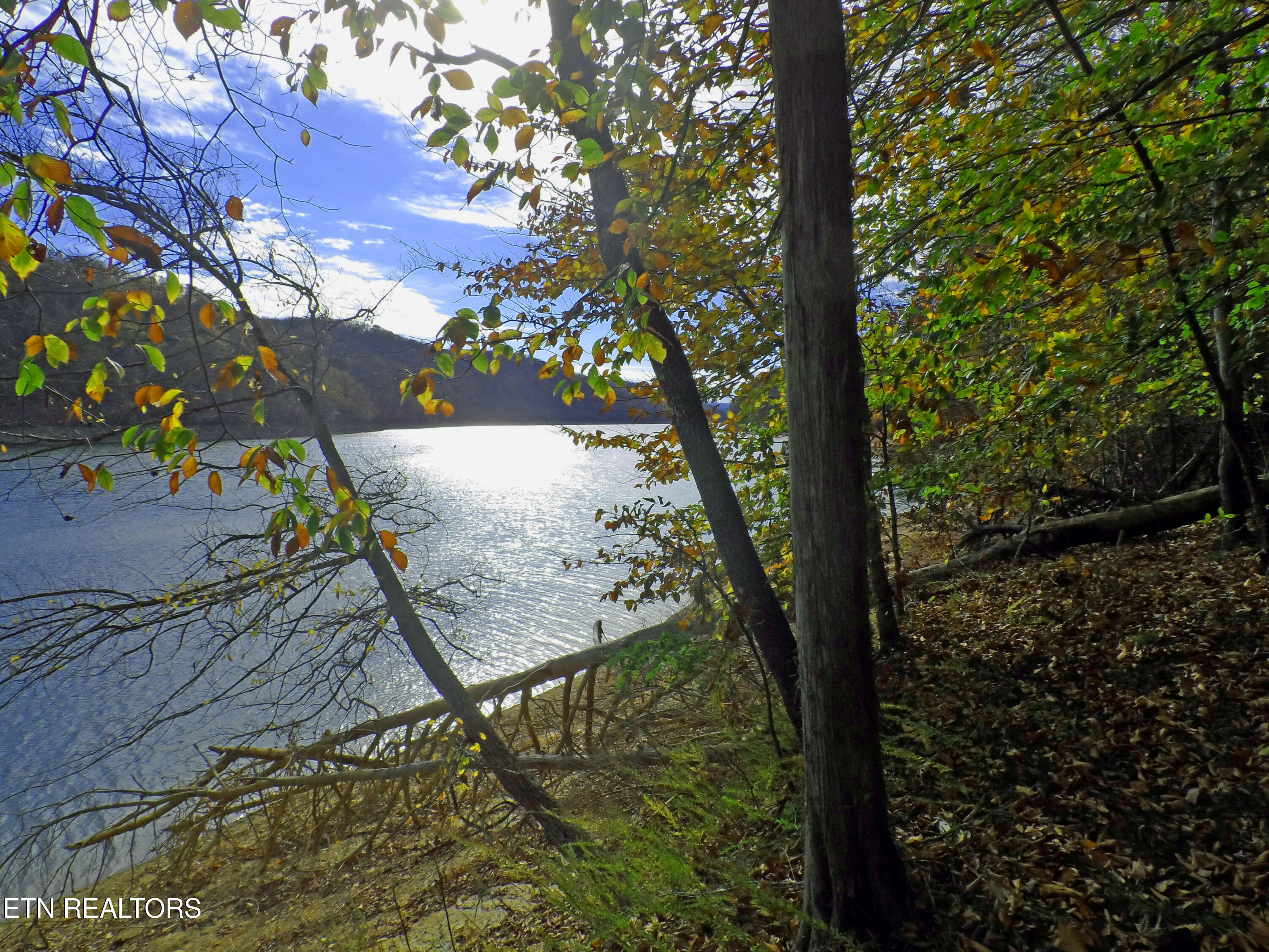 Lot 348 Lick Branch Rd