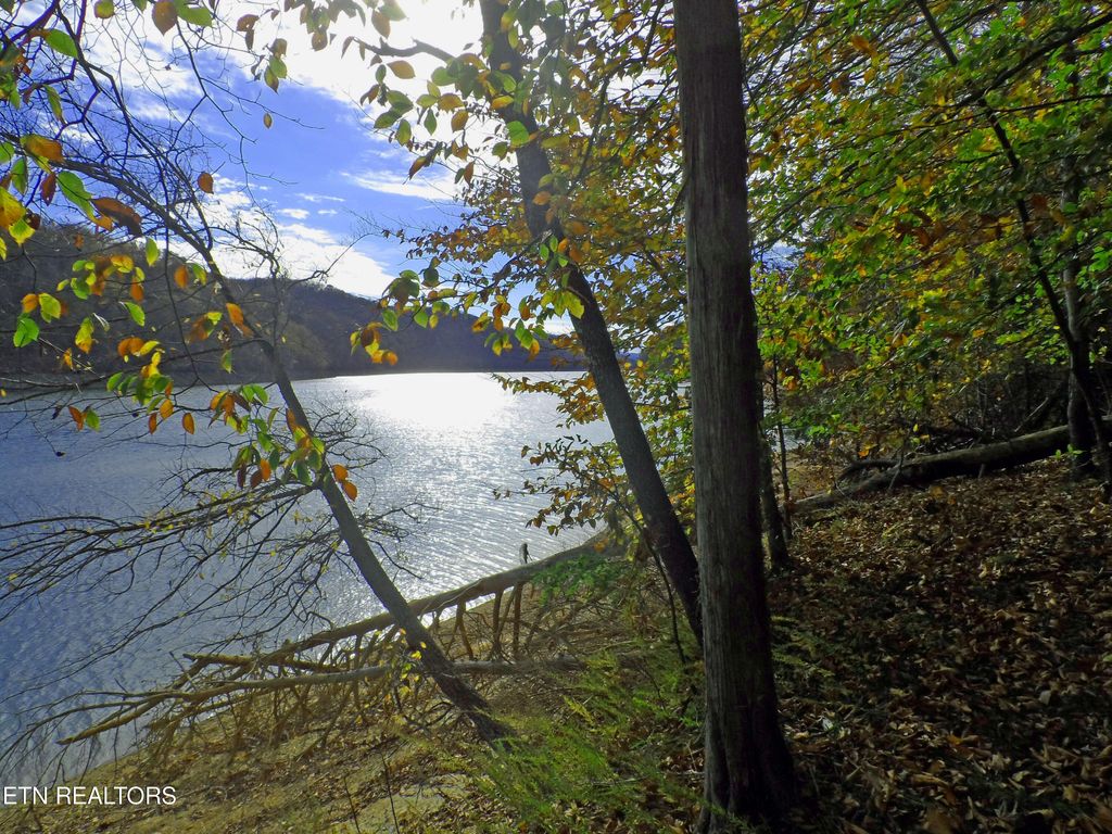 Photo of 348 Lick Branch Rd, New Tazewell, TN 37825 (MLS # 1296601)