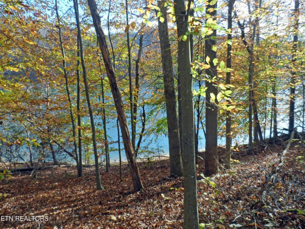 Photo of 348 Lick Branch Rd, New Tazewell, TN 37825 (MLS # 1296601)