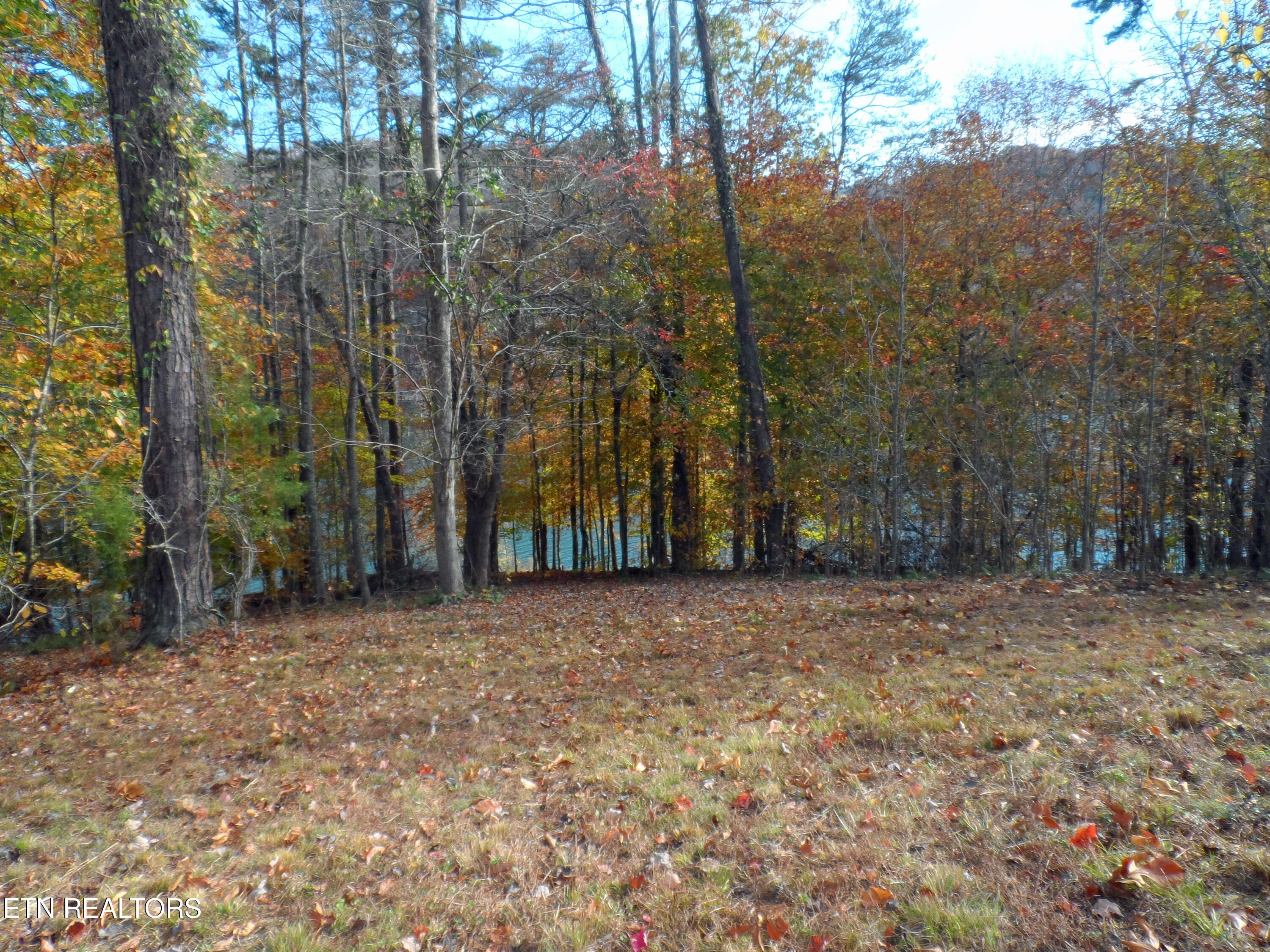 Lot 348 Lick Branch Rd