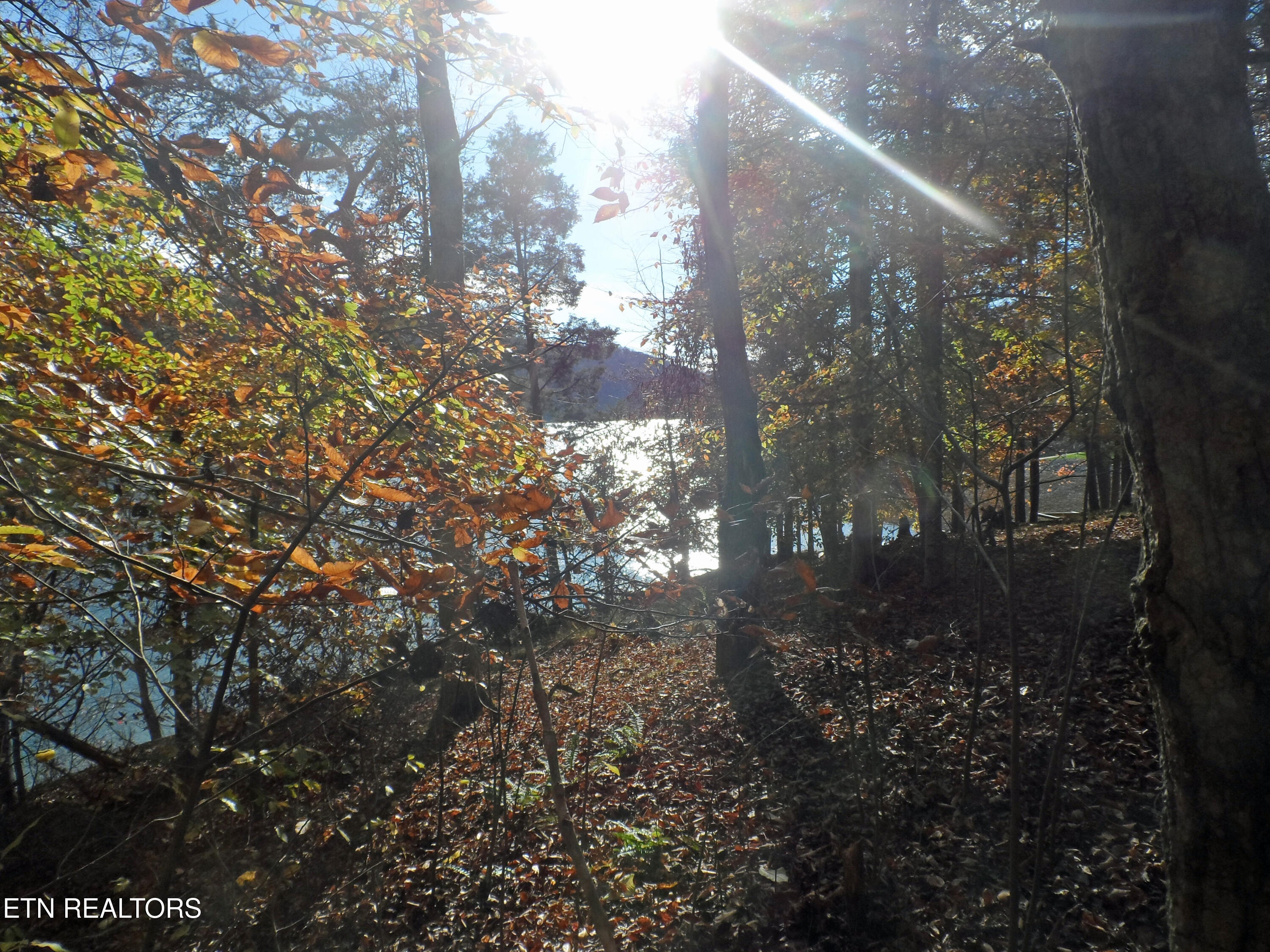 Lot 348 Lick Branch Rd