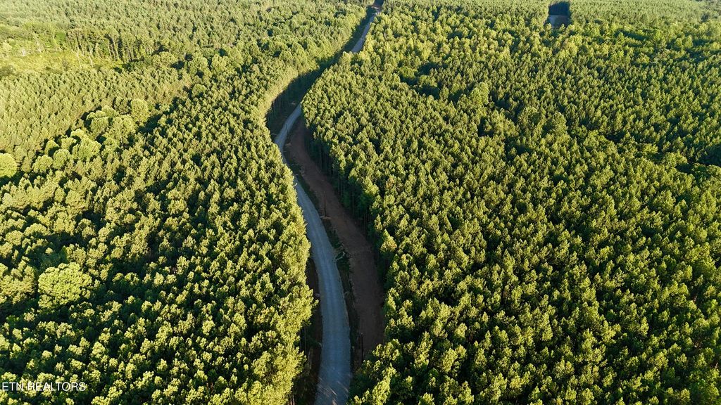 Photo of Lot 10 Airport Rd, Rockwood, TN 37854 (MLS # 1310475)