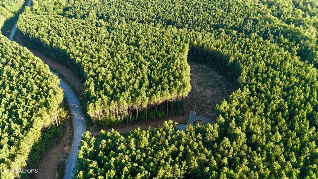 Photo of Lot 10 Airport Rd, Rockwood, TN 37854 (MLS # 1310475)