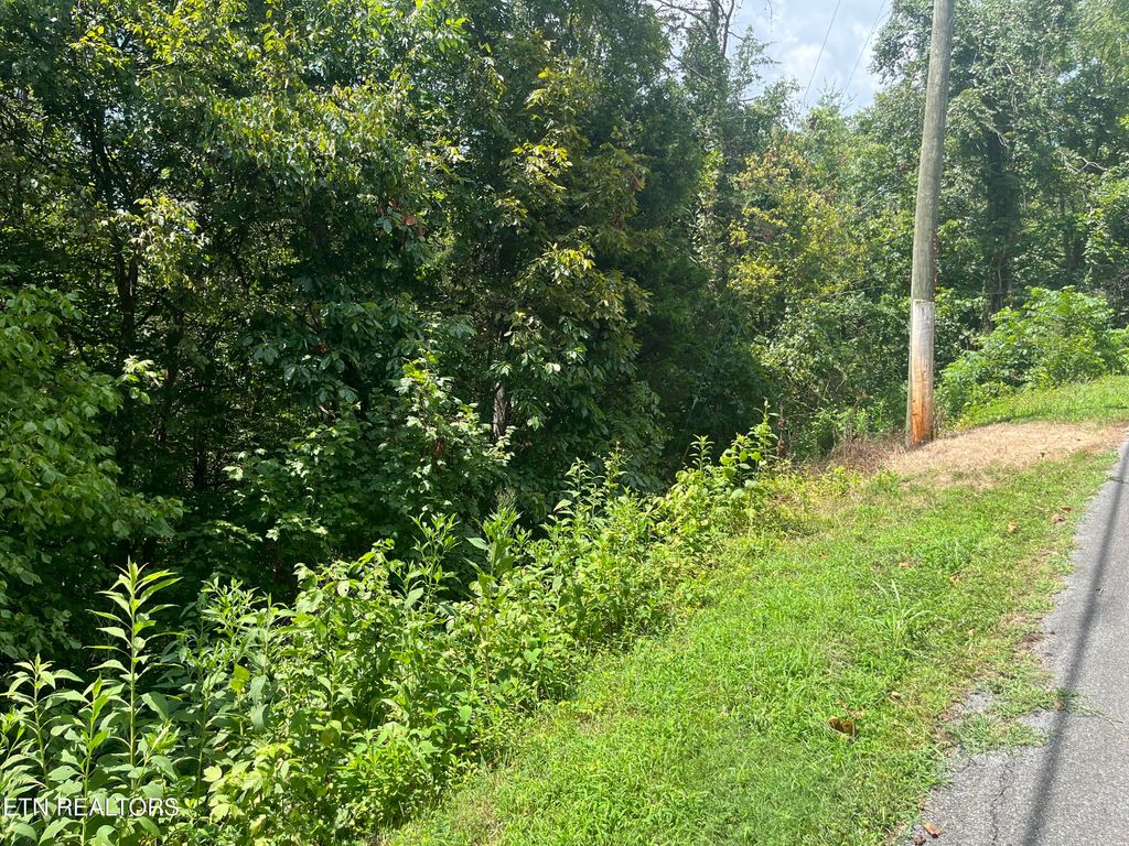 Photo of 8 Indian Gap Circle, Sevierville, TN 37876 (MLS # 1310650)