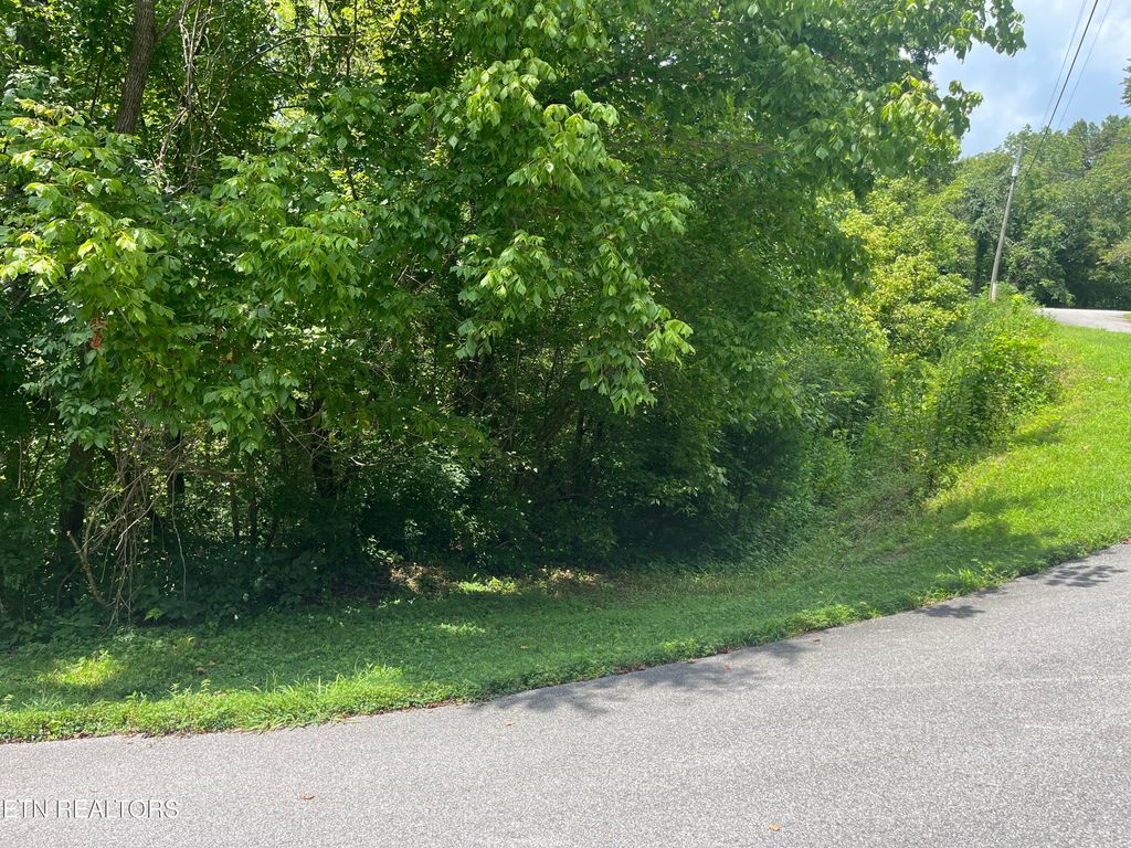 Photo of 8 Indian Gap Circle, Sevierville, TN 37876 (MLS # 1310650)