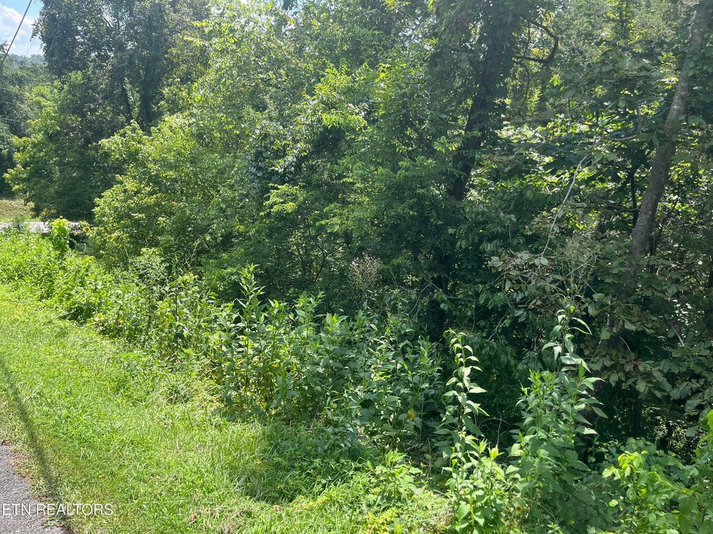 Photo of 8 Indian Gap Circle, Sevierville, TN 37876 (MLS # 1310650)