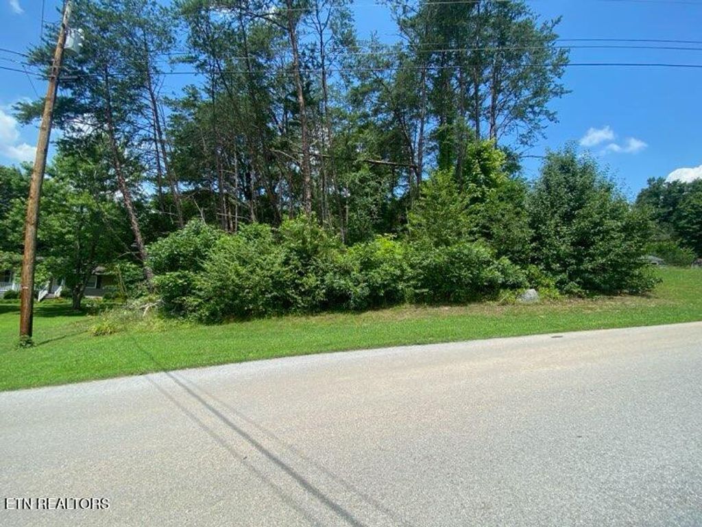 Photo of 6 Scenic View Drive, Rutledge, TN 37861 (MLS # 1308922)