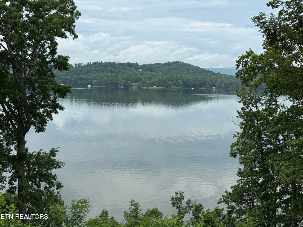 Photo of 548 Sunset Hills Lane, Spring City, TN 37381 (MLS # 1302807)