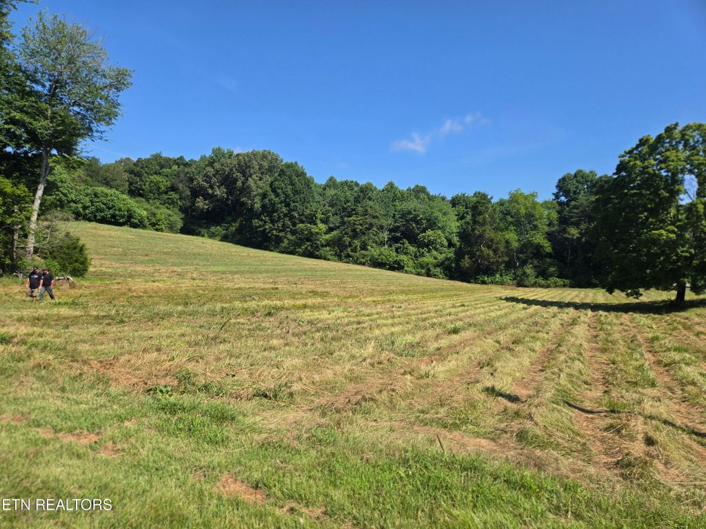 Photo of 115 Billingsley Rd, Sweetwater, TN 37874 (MLS # 1308194)