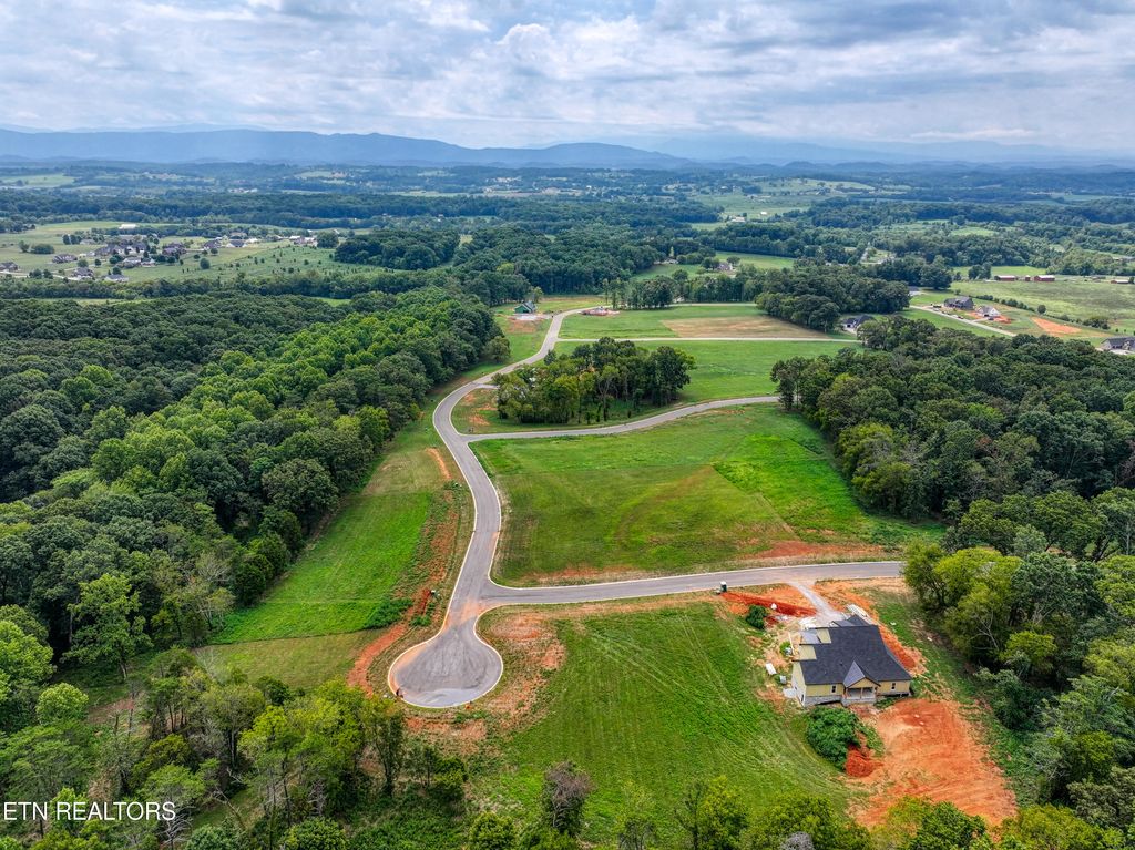 Photo of 123 KELLYS VIEW, Greenback, TN 37742 (MLS # 1273981)