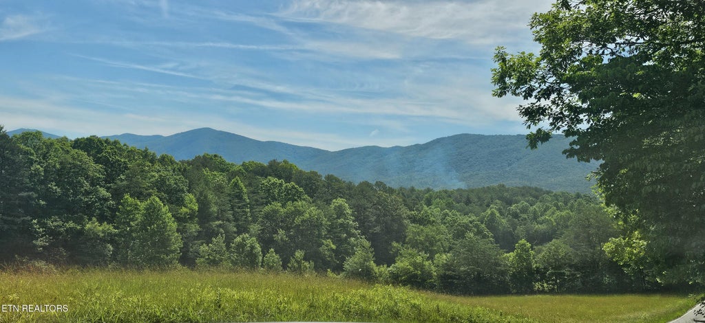 Photo of 0 Coker Creek Trail, Tellico Plains, TN 37385 (MLS # 1343651)
