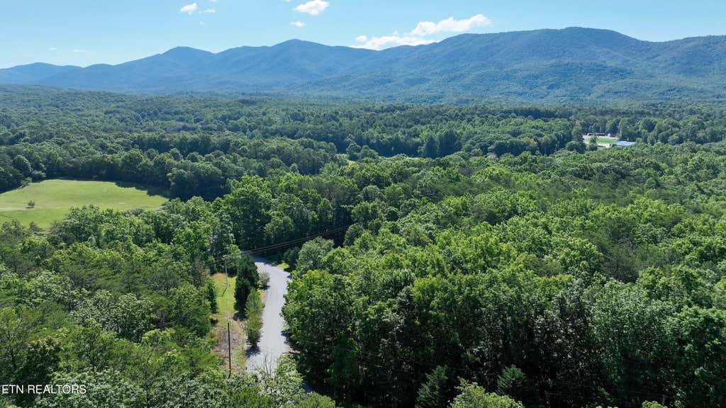 Photo of 0 Coker Creek Trail, Tellico Plains, TN 37385 (MLS # 1343651)