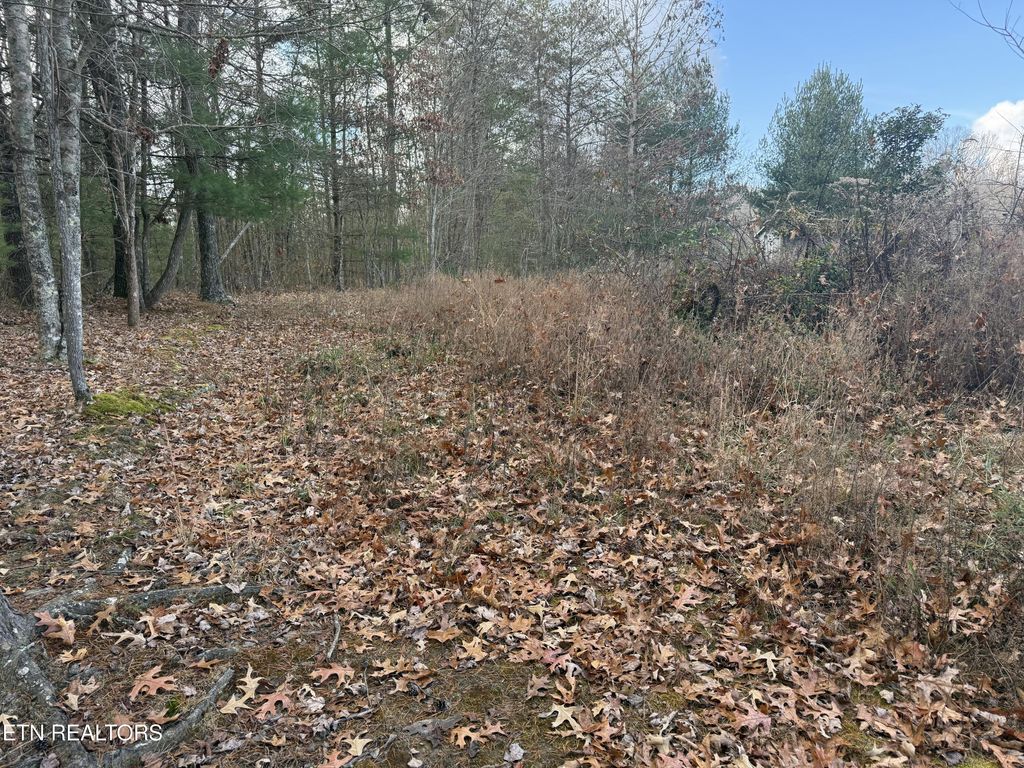Photo of 10.77 Acres - Valerie Drive, Deer Lodge, TN 37726 (MLS # 1319070)